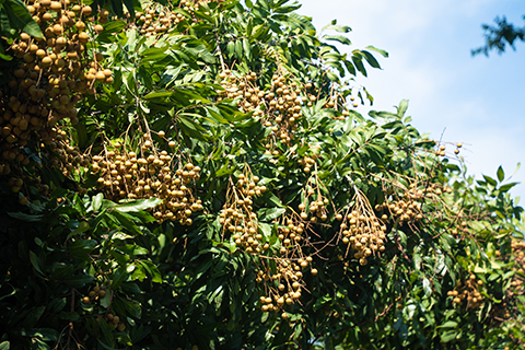 ��ҳ| 918�����ü����й��ٷ���վ