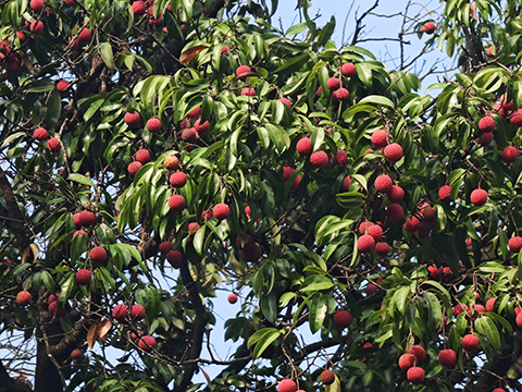 ��ҳ| 918�����ü����й��ٷ���վ