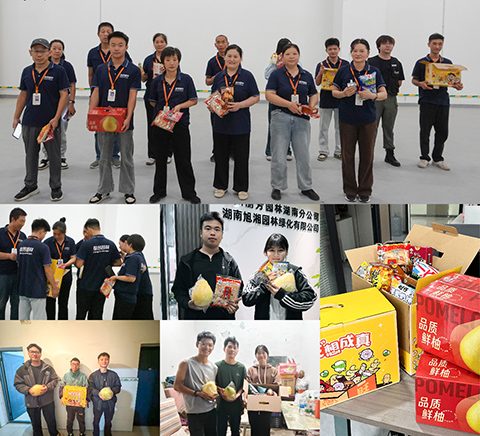 ��ҳ| 918�����ü����й��ٷ���վ