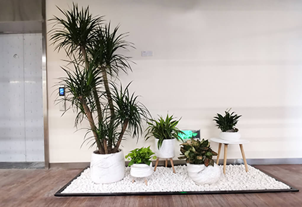 �����ֻ�е��