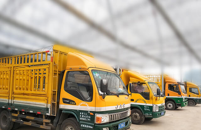 ���ͳ���