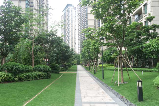 �������û���