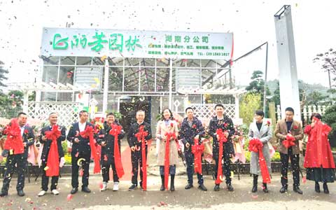 918������԰�ֺ��Ϸֹ�˾ʢ��ҵ����ս�����г�