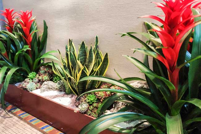 ��ɽ��������ֲ������Ŀ