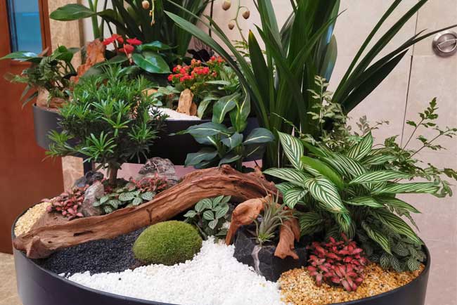 ��Ϊ��ݸ����ɽ����