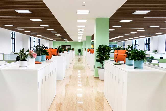 ��Ϊ��ݸ����ɽ����