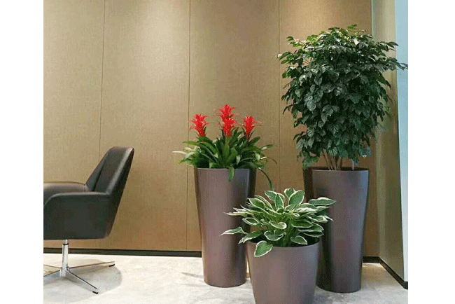 �Ƶ�ֲ������