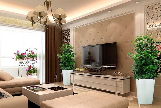 �Ƶ�ֲ������