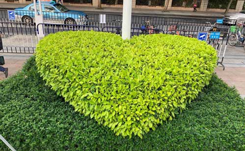 ó�������̻�����