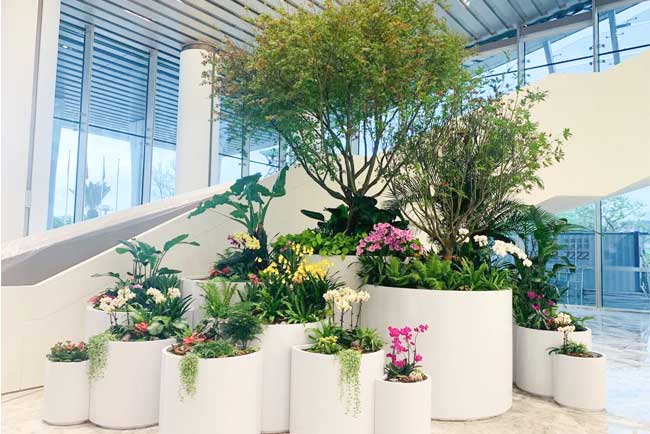 ����ǰ�����ʻ���������ֲ����