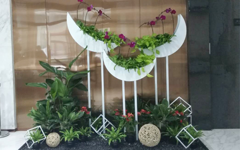 ���ݰڷŹ�˾���������� ��ֲ���޼�ֵ��