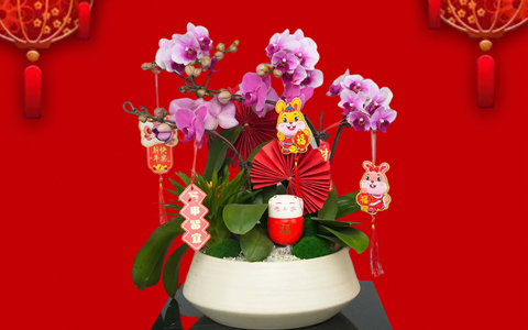 �껨��俪 | 918������԰���´���ۺ��껨����ԤԼ