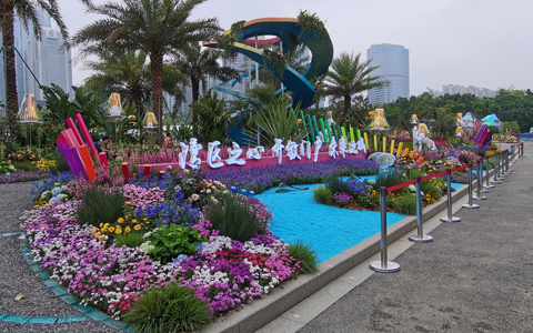 ��29��԰���ῪĻ��918������԰�ֲ�չ���»��3��