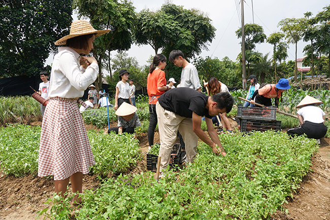 918�����ÿ����