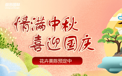 918������԰��2022��������������м�ʢ��ԤԼ��