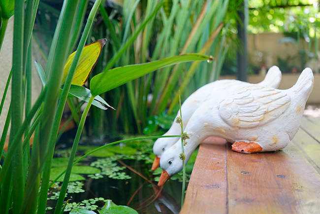 918�����ÿ���¶̨�������