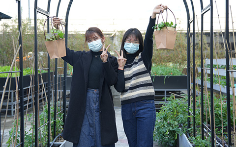 918������԰�֣��ɸ��˶���Ķ���ũ������