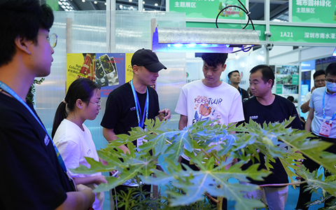 ����ʽ����918������԰�֡���Ȼ����ع���ֳ���