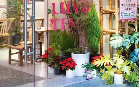 ����� | �����������ʽ�����������Ȼ��������