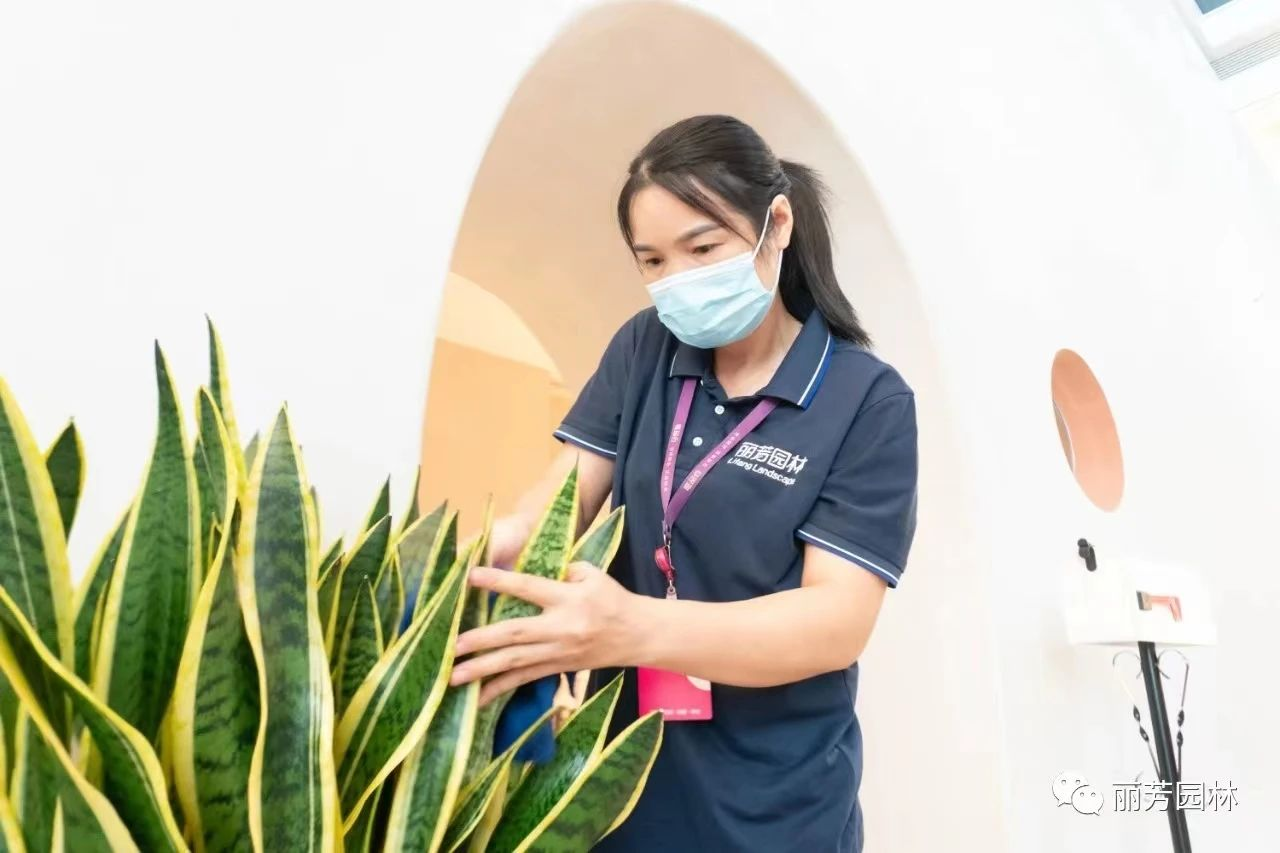 ��ҳ| 918�����ü����й��ٷ���վ