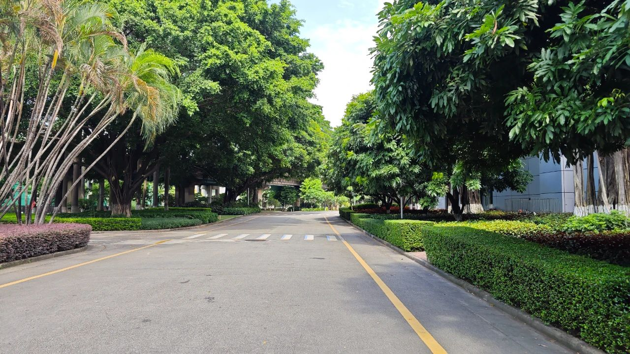 ��ҳ| 918�����ü����й��ٷ���վ