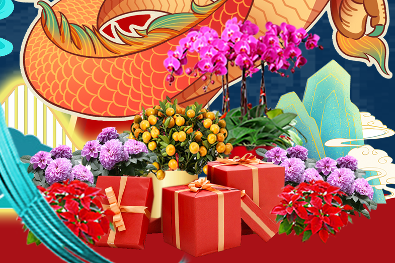 ��ҳ| 918�����ü����й��ٷ���վ