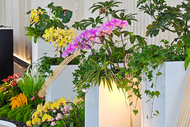 ������ֲ�쾰�������ݻ������