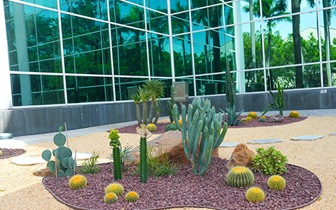 918������԰�ְ������������ݹ�����ھ���ˢ��Բ��ʵ�֣�