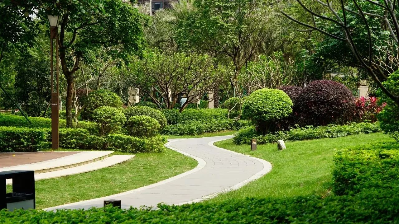 ��ҳ| 918�����ü����й��ٷ���վ