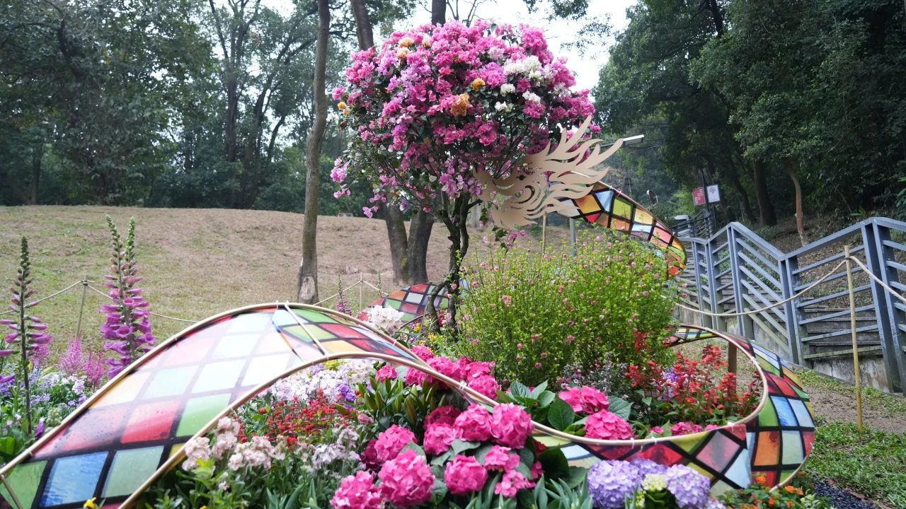 ��ҳ| 918�����ü����й��ٷ���վ