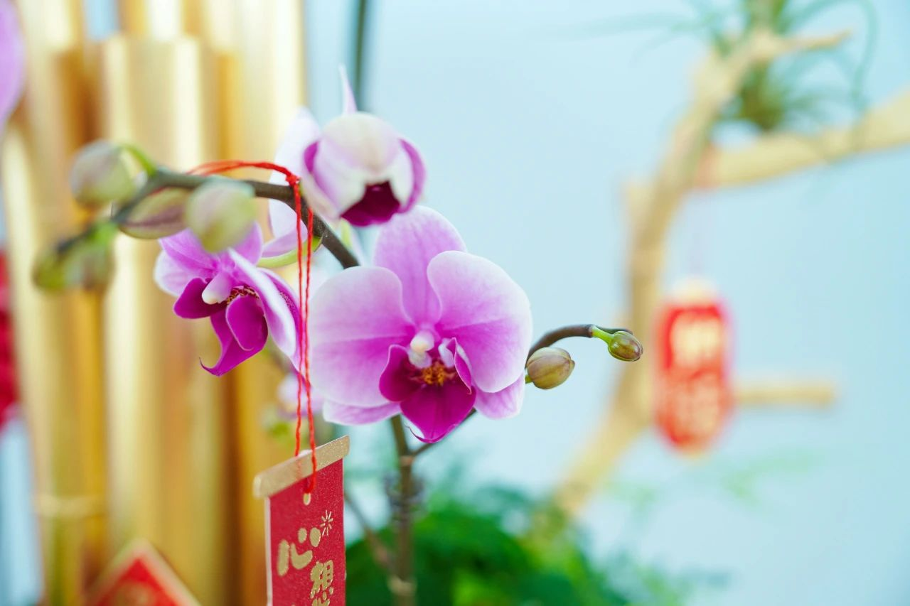 ��ҳ| 918�����ü����й��ٷ���վ