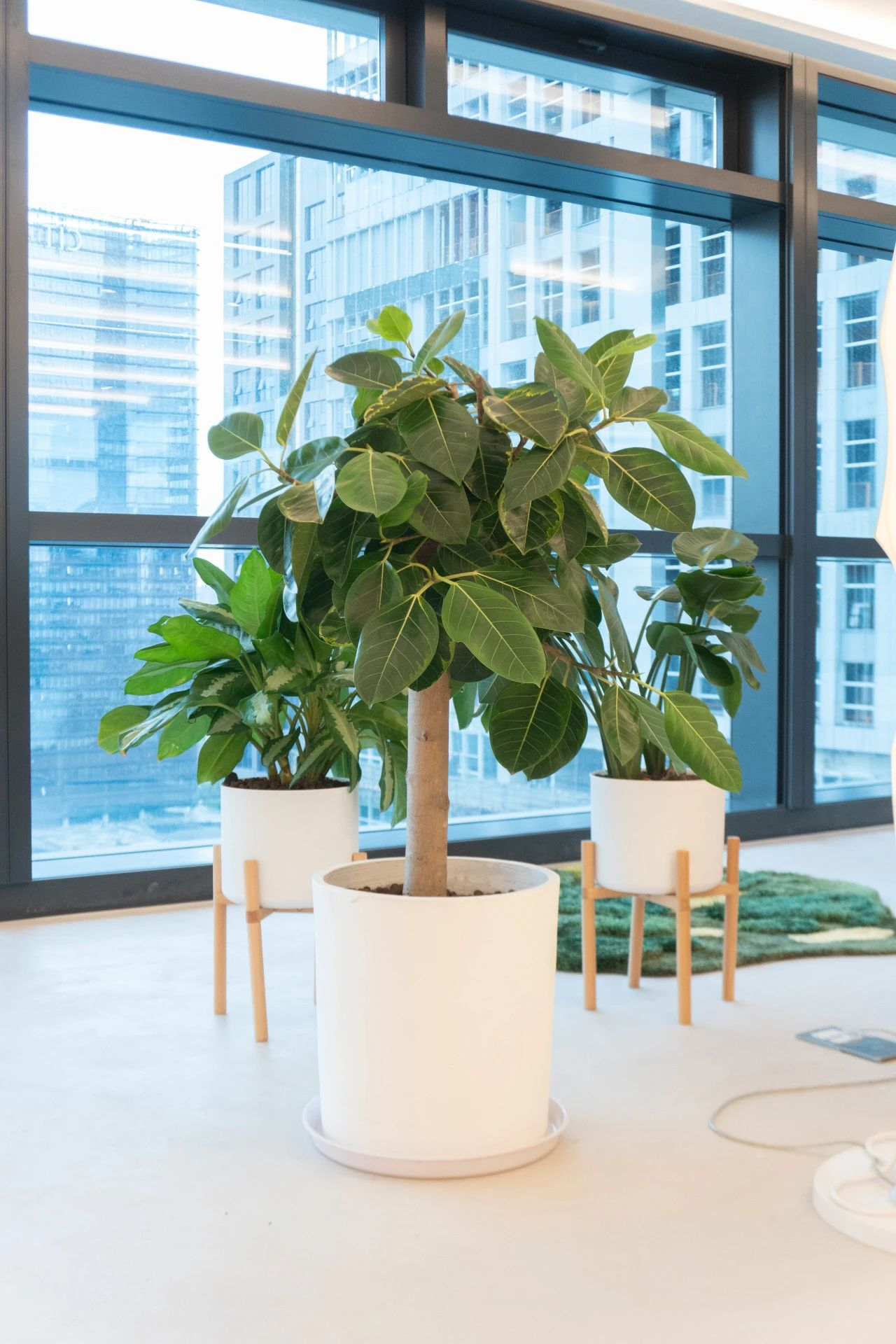 ��ҳ| 918�����ü����й��ٷ���վ