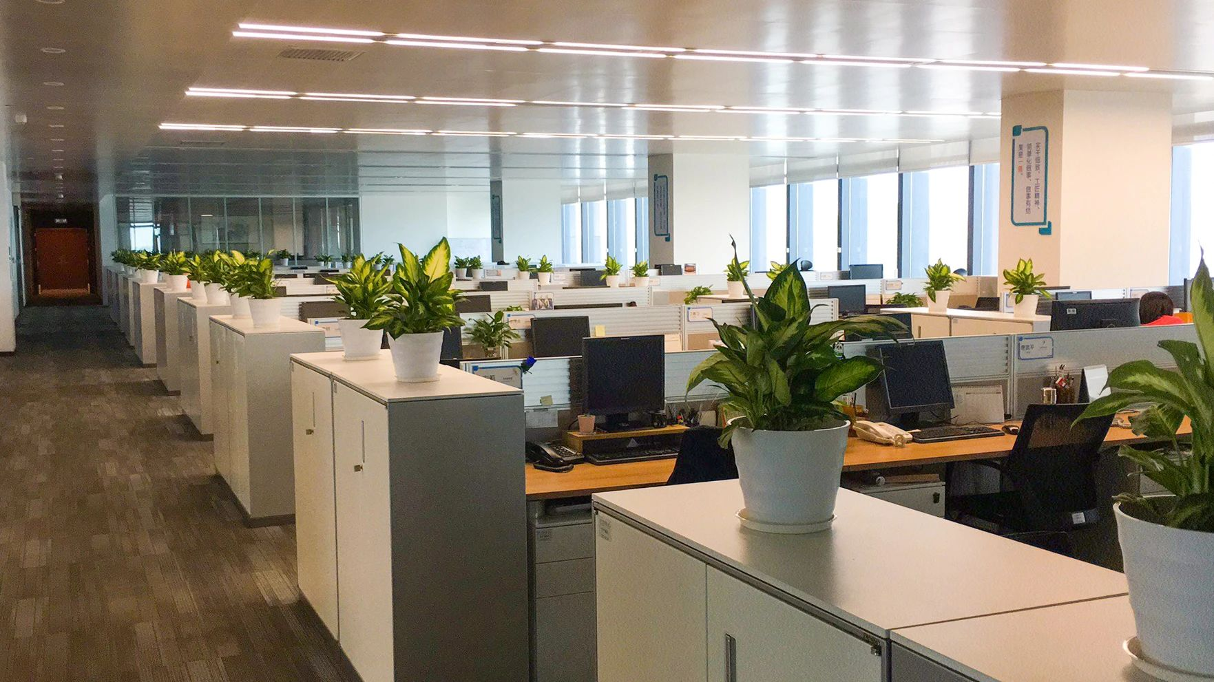 ��ҳ| 918�����ü����й��ٷ���վ