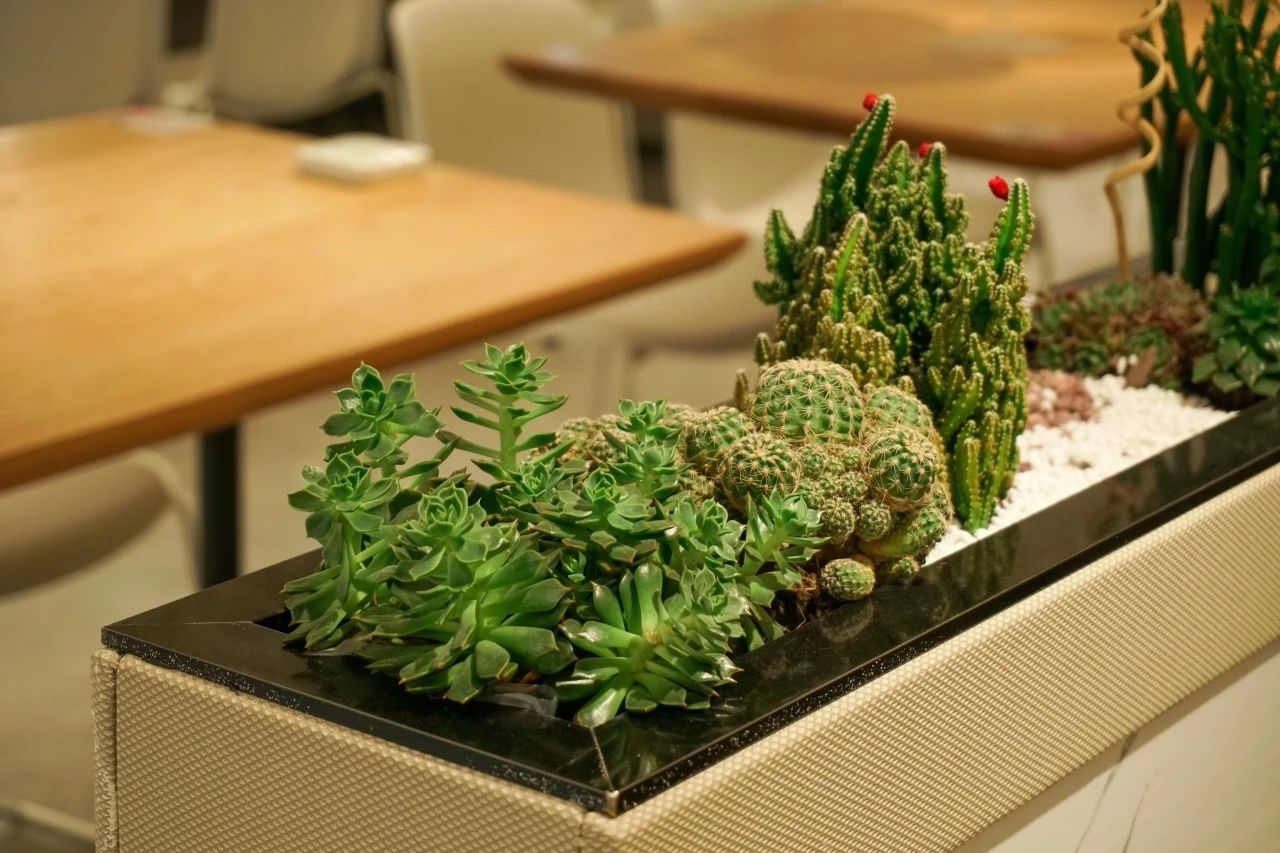 ��ҳ| 918�����ü����й��ٷ���վ