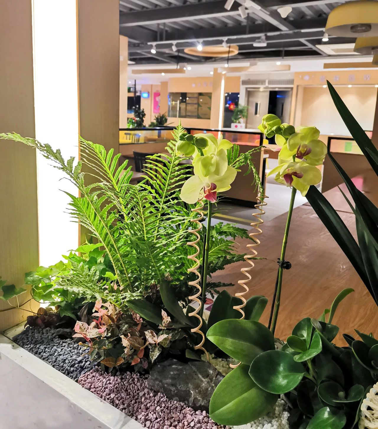 ��ҳ| 918�����ü����й��ٷ���վ