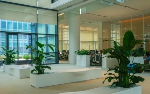 ��̬�칫�����ɺ��� | ��ɫ�칫�·���