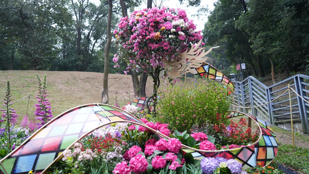 ��ҳ| 918�����ü����й��ٷ���վ