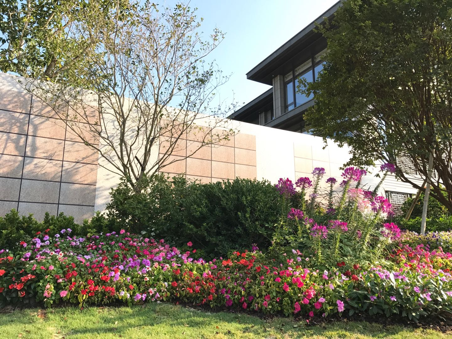 ��ҳ| 918�����ü����й��ٷ���վ