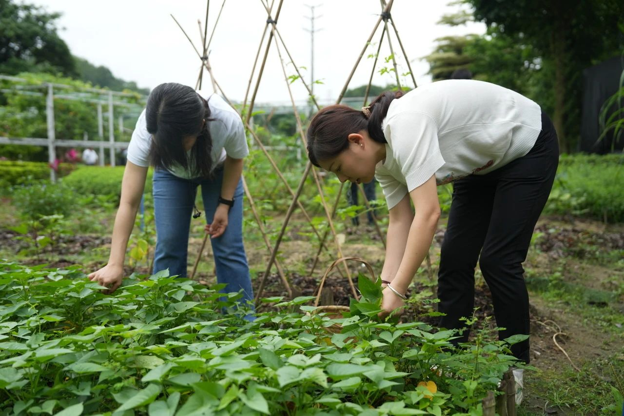 ��ҳ| 918�����ü����й��ٷ���վ