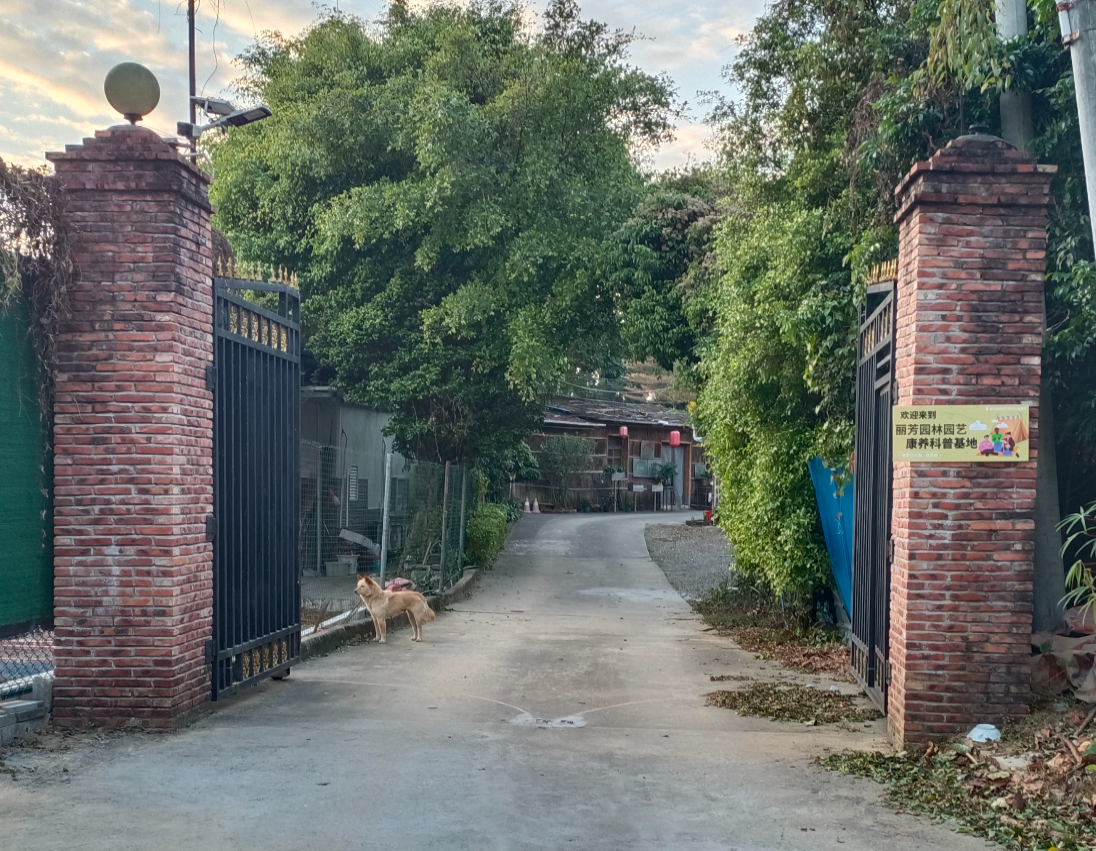 ��ҳ| 918�����ü����й��ٷ���վ