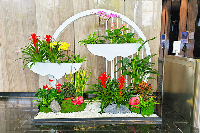 ��������������̻������龰