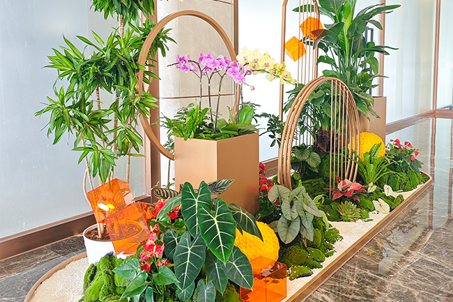 918������԰����ֲ��ڡ������ƽ�ش���