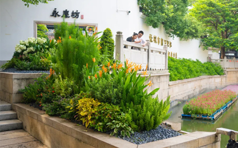 ������ư�����918������԰�ֽ��Ĵ������췻��Ī�λ��ԡ�����ʢ��