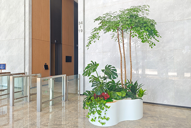 �������״�����ֲ���