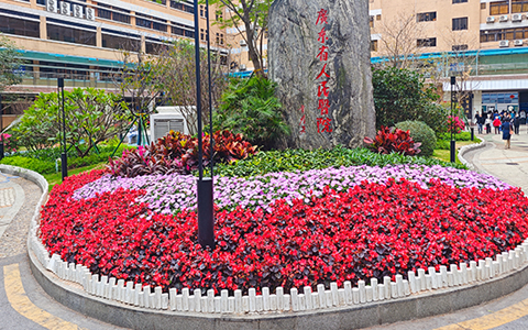 �㶫ʡ����ҽԺ�̻�������������918������԰�ָ���ҽ�ƻ�������