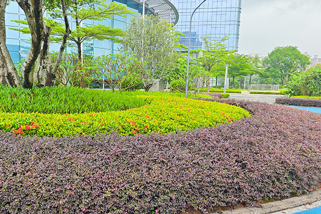 ��Ϊ�Ϸ�����԰���̻�����