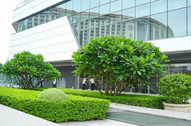 ����Խ����ʻ��������̻�����