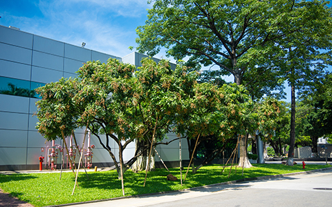 918������԰�֣�26��רҵ���������칤����԰���̻��ĸ߲�����