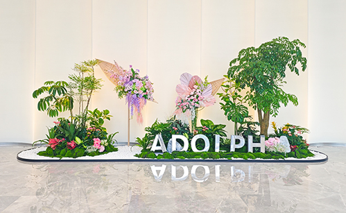 �����̻�����