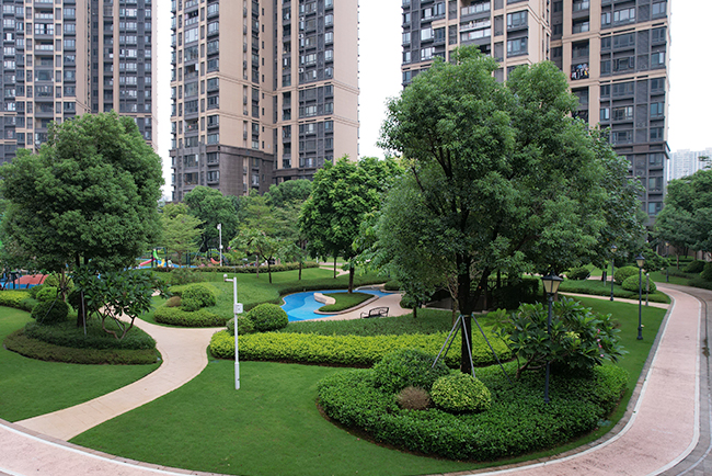 �����̻�����